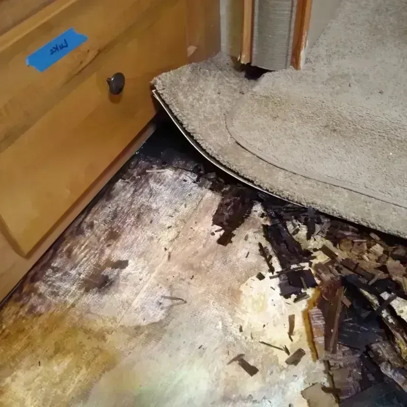 Best Wood Floor Water Damage Service in Pulaski, VA